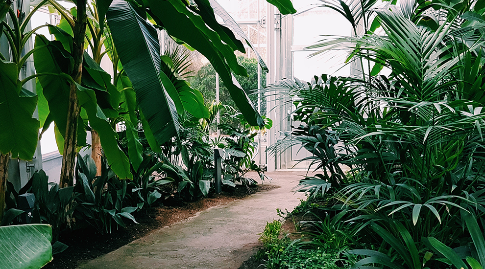 Beginners Guide To Landscaping